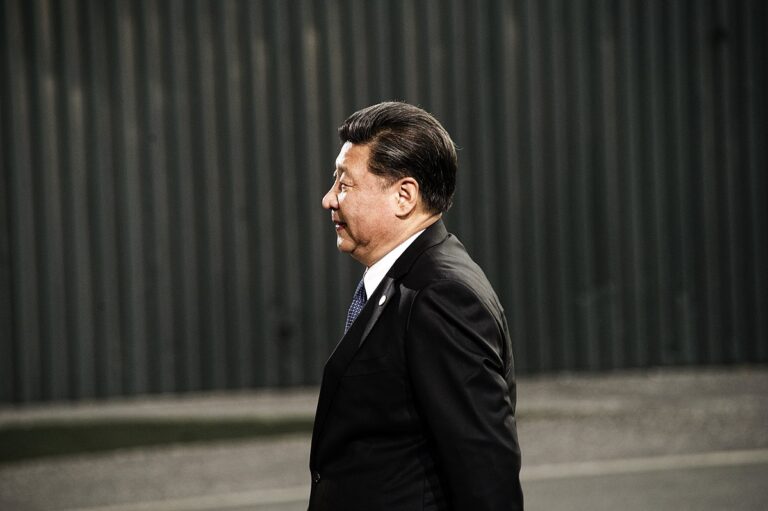 Serbia and China: What Does the “Shared Future” Hold for “Steel Friends”?
