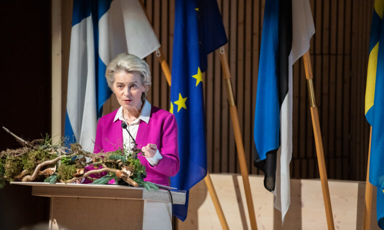 Von der Leyen’s Commission 2.0: Perspectives from Central and Eastern Europe