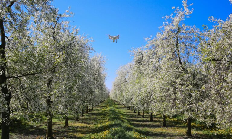 Beyond TikTok: The National Security Risks of Chinese Agricultural Drones