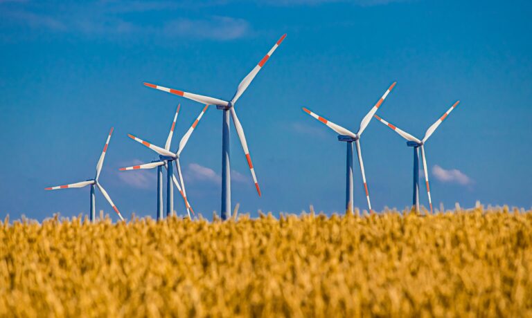 The Dysprosium Supply Chain: A Forgotten Child in the European Wind Industry?