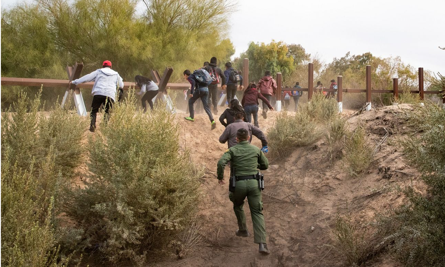 migrants