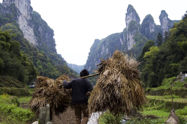 China’s High-Tech Food Security Push