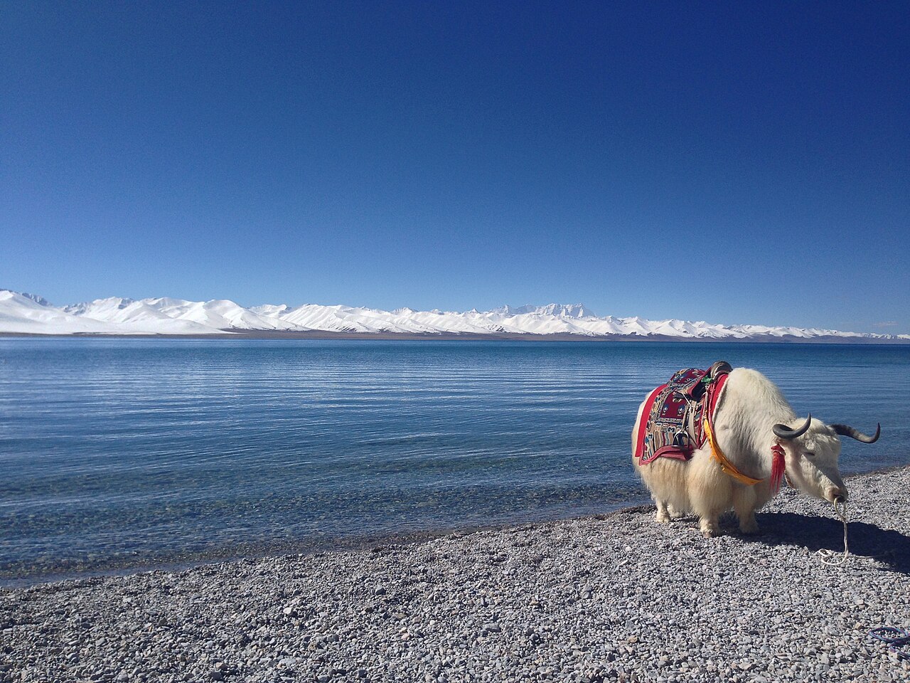 Is Beijing’s new hydro-engineering project in Tibet more than a hydropower project – could it be China’s Himalayan power play?